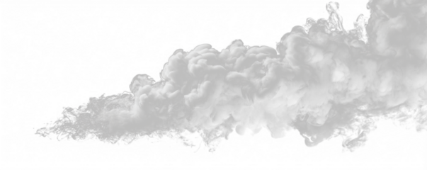 Soft white mist flows across the scene, creating a calm, serene effect. Perfect for fantasy, magical, or dreamy projects. Ideal for overlays and graphic compositions. PNG