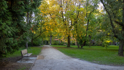 path in autumn park