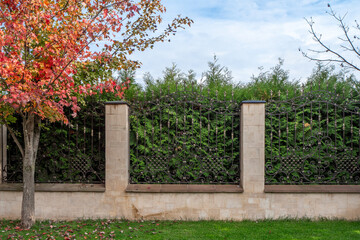 Ornate wrought iron fence with stone pillars and evergreen hedge in autumn.