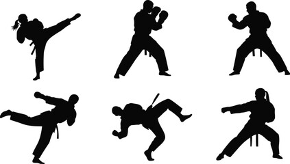 Martial arts silhouette, karate kick, taekwondo stance, self defense pose, black belt action, fighter training, combat movement, dojo discipline