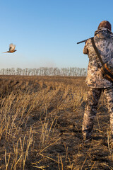 Hunter man aiming with rifle on pheasant. Outdoor hunting scene.