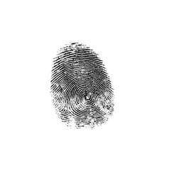 Intricate white fingerprint detail isolated on black unique biometric identification pattern graphic