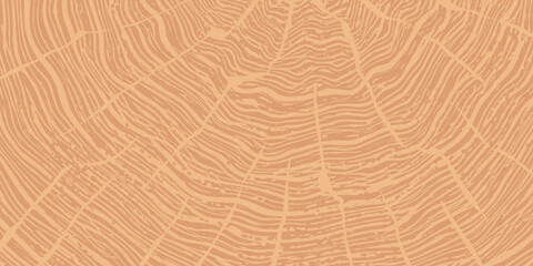 Log cut, wood texture, tree rings pattern, vector background