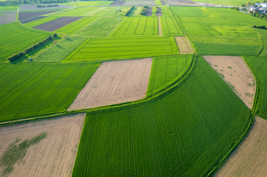 Aerial view of vibrant green and beige fields creating a patchwork quilt of agriculture, stretching towards distant buildings, Mannheim, Baden-Wurttemberg, Germany.