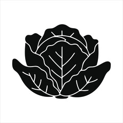 Stylized silhouette of a fresh cabbage head with visible leaf veins