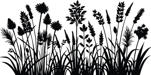 A detailed silhouette of various wild grasses and seed heads against a white background in a striking black and white design