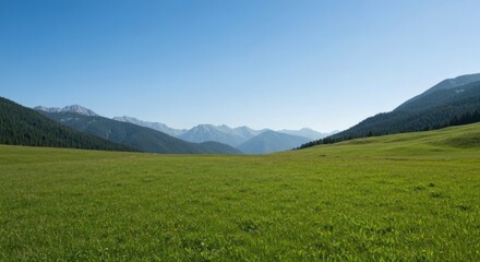 Obraz premium Lush meadow valley surrounded by forested mountains under bright blue sky