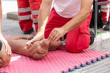 Professional first aid training demonstration showing CPR techniques on a dog mannequin,...