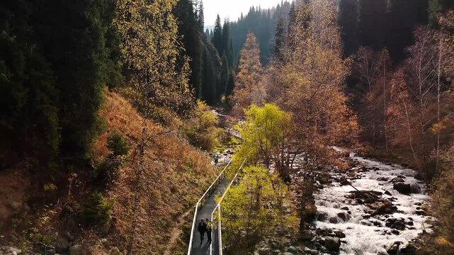 Aerial view panorama of yellow autumn forest in Almaty