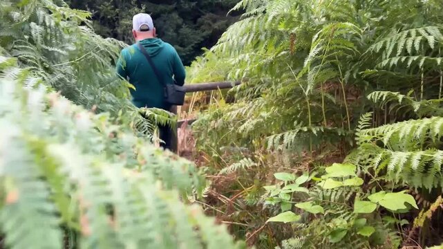 Senderista entre helechos gigantes en el Lago Ness