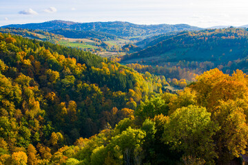 Piękne jesienne lasy na Dolnym Śląsku 2025