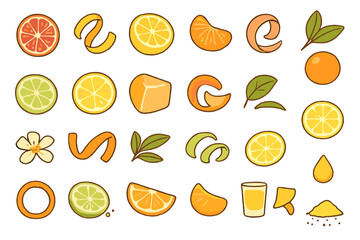 Hand-drawn citrus fruit and peel icon set in warm tones