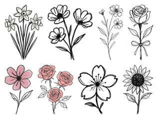 PNG Hand-drawn floral sketch collection, element set on transparent background