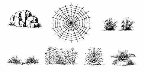 Collection of hand drawn black and white illustrations of natural elements including rocks spiderwebs and various plants