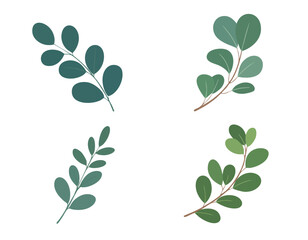 Image showing four plant sprigs with round and heartshaped leaves on white background