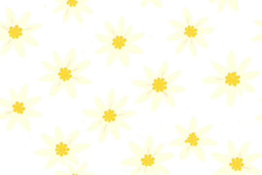 Seamless edelweiss flower pattern on soft green background