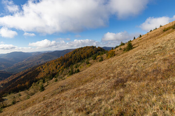 Panoramic view of autumn Carpathian mountains under cloudy sky