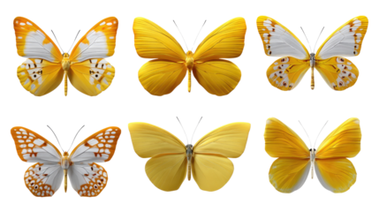 Golden Butterflies's Symphony: Six resplendent butterflies, showcasing a diverse spectrum of yellow hues, their delicate wings adorned with intricate patterns, dance across the scene.