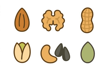 Set of popular healthy nuts and seeds including almond, walnut, peanut, pistachio, and cashew