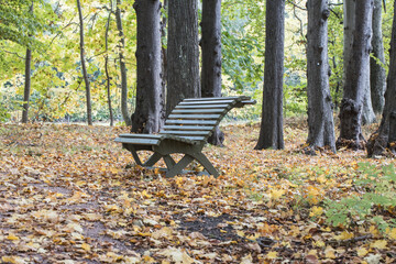 Park bench surrounded by autumn leaves