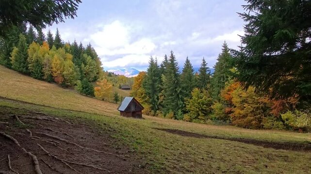 eaceful autumn scenery in the Carpathian Mountains near Bran-Moieciu, Romania, showing a rustic wooden cabin surrounded by colorful forests and mountain peaks under a cloudy sky.