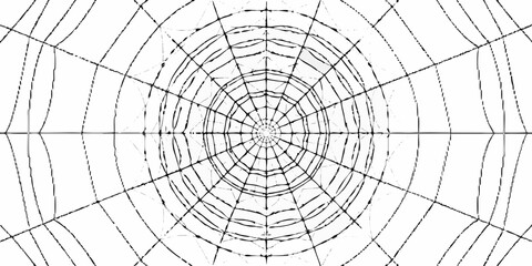 Abstract radial pattern of a black spider web against a white background with a symmetrical design