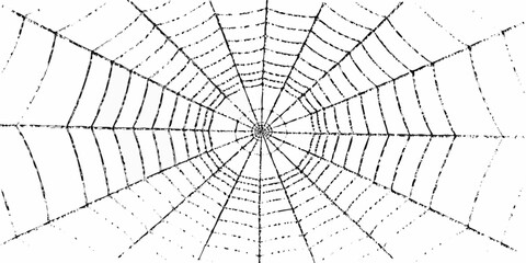 Abstract black and white radial spider web pattern on white background