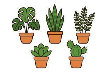 Collection of popular indoor houseplants in terracotta pots against a white background