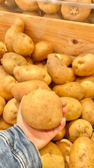 Potatoes on a wooden background