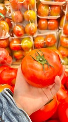 Tomatoes hold by kids hand