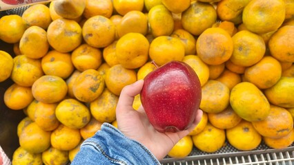 Kids hold apple on her hand