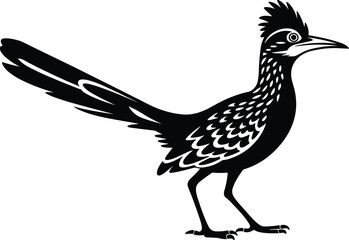 Stylized roadrunner bird illustration, black and white desert wildlife art, detailed feather pattern, southwestern nature, crest, tail, agile pose