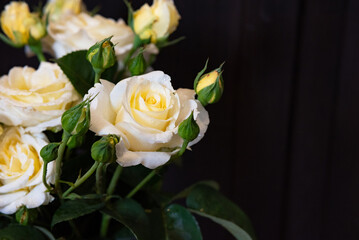 Beautiful white roses with yellow buds arranged elegantly against a dark background