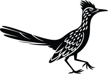 Stylized roadrunner illustration, black and white bird art, graphic wildlife design, desert animal silhouette, bold feather pattern, nature concept