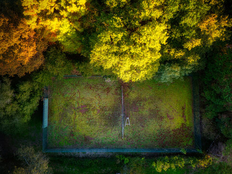 Aerial view of a moss-covered tennis court, a forgotten relic embraced by the vibrant hues of autumn foliage, a symphony of gold and green, Paris, France.