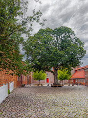 Calm square with large tree in Esbjerg, Denmark