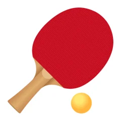 Red ping pong paddle or table tennis racket with orange ball © Eugene B-sov