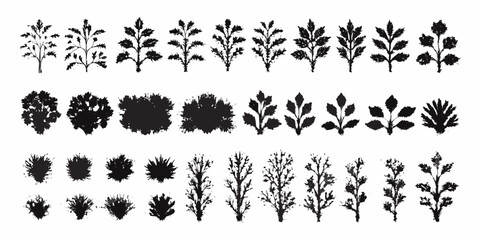 Collection of black silhouette botanical elements and plant sprigs with textured brush strokes
