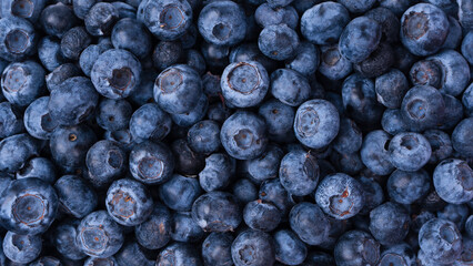 Blueberries in a plastic container isolated on a white background.