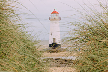 Lighthouse through long grass
