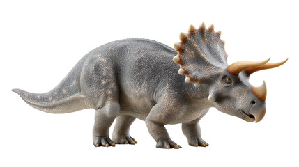Triceratops in Isolation: A majestic triceratops, with its iconic frill and horns, stands in solitary splendor. The detailed illustration, a testament to prehistoric wonder.