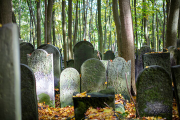 Zabytkowy cmentarz żydowski w Warszawie, Jesień w Warszawie. © hunter76