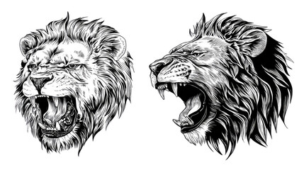 Obraz premium Lion's Roar: Captivating illustration of a lion showcasing its strength and dominance. A perfect blend of artistry and wild beauty