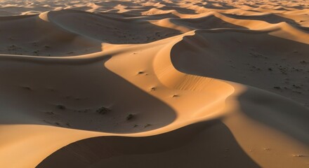 Rolling sand dunes, golden hour. Shadows and light create beautiful curves in the desert