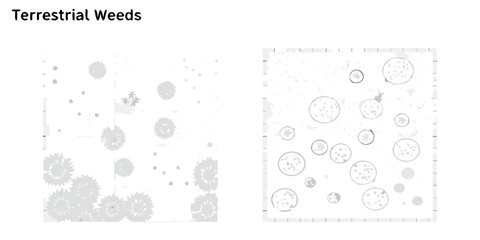Abstract illustration of terrestrial weeds with circular and starburst shapes on a textured white background