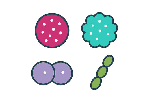 Colorful icons showing four types of bacterial morphology: coccus, diplococcus, streptococcus, staphylococcus