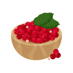 Vector Illustration Logo Clipart Fresh Fruits Schisandra Berry or Omija Fruits on a Wooden Bowl