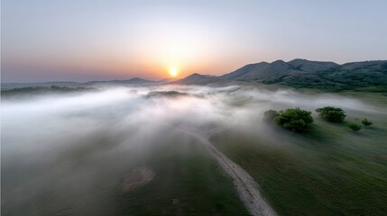 Obraz premium Foggy sunrise over field with path and small tree misty morning light illuminates open field narrow path converges on solitary tree serene landscape