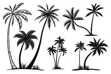 set of Tropical Palm Tree Silhouette Vector Collection Isolated on White Background