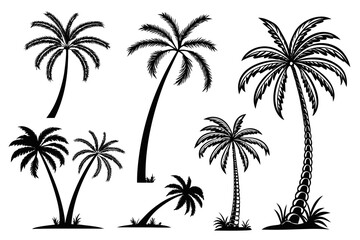 Obraz premium Tropical Palm Tree Silhouette Vector Collection Isolated on White Background